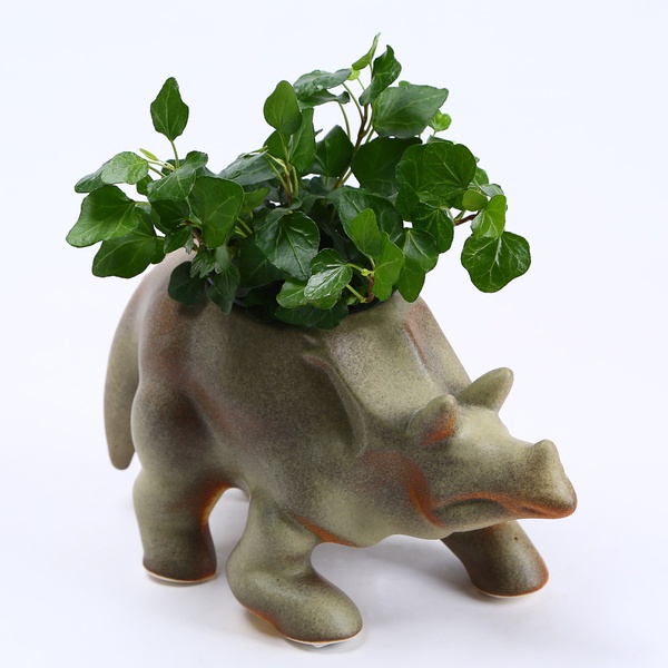 Triceratops khaki planter