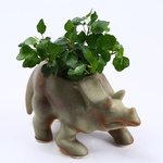 Triceratops khaki planter