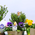 Пасхальные украшения Pansy Duck/Bunny/Peep in Egg GoodWill 10 см