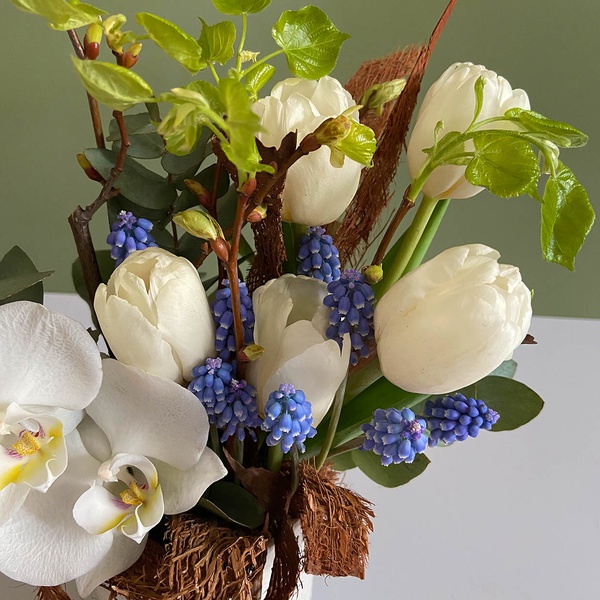 Floral composition in pots with muscarias