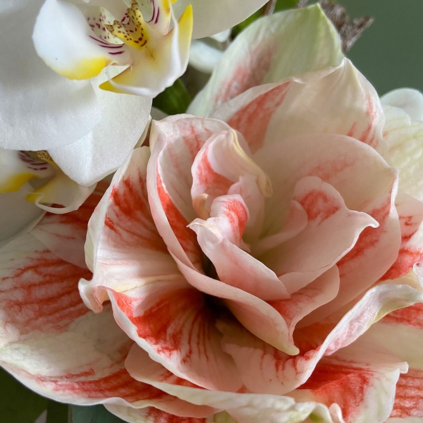 Floral composition in a pots