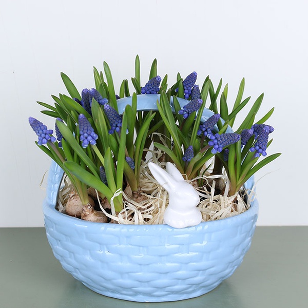 Candy box "Bunnies in a basket" blue