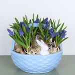 Candy box "Bunnies in a basket" blue
