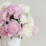 Gift set with peonies and strawberry