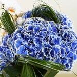 Bouquet of hydrangeas and phalaenopsis