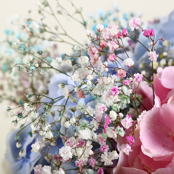 Bouquet of hydrangeas and gypsophila