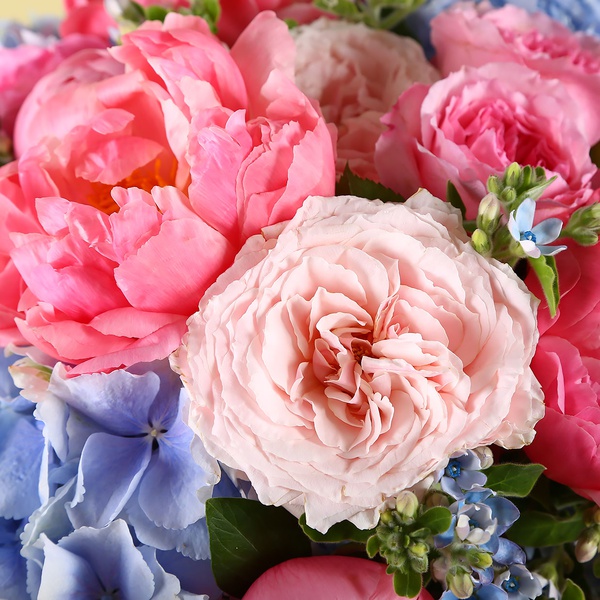 Bouquet with peonies and blue hydrangeas