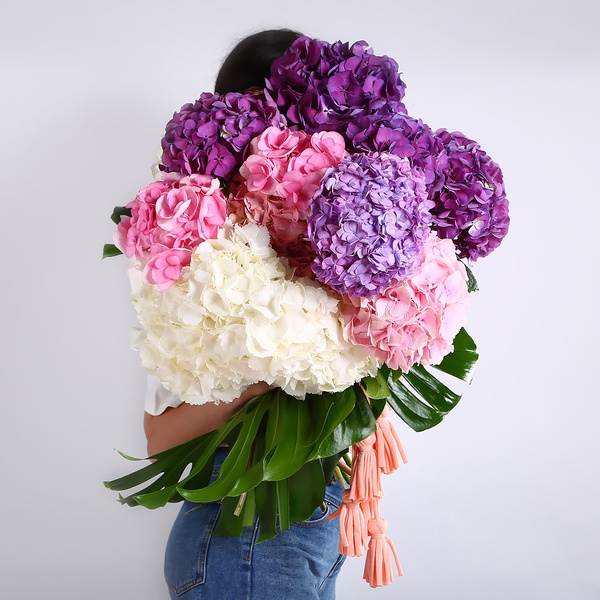 Bouquet of 15 hydrangeas mix