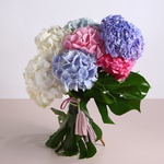 Bouquet of 7 mix hydrangeas