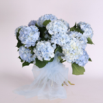 Bouquet "Sky Dream"