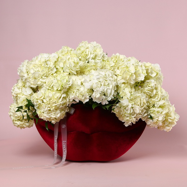 The arrangement «White Velvet»