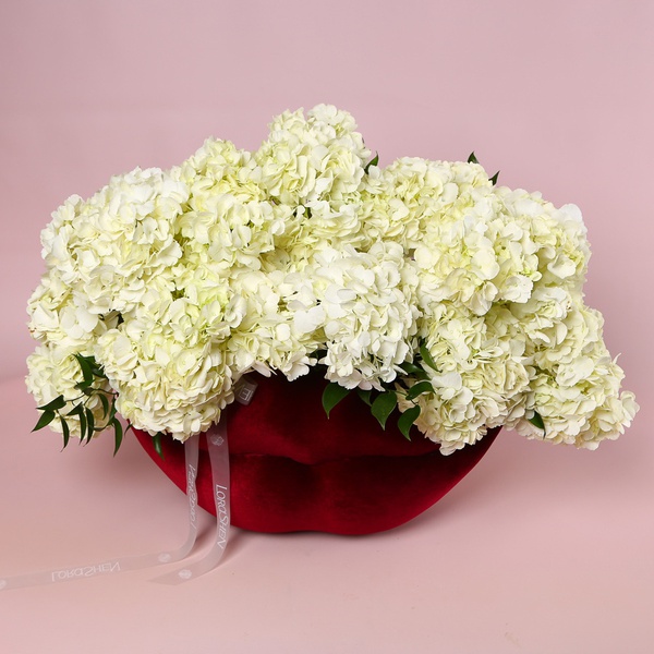 The arrangement «White Velvet»