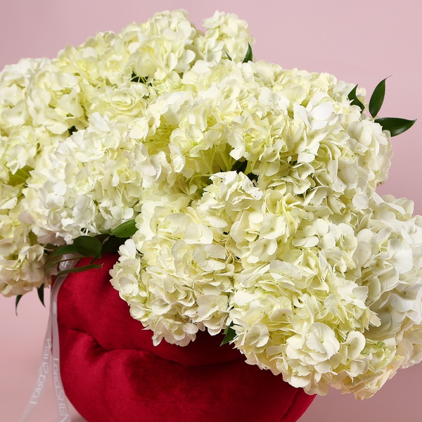 The arrangement «White Velvet»
