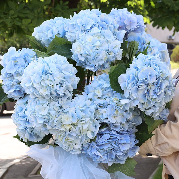 Bouquet "Sky Dream"