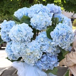 Bouquet "Sky Dream"