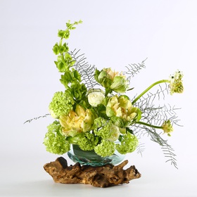 The interior arrangement "Emerald Harmony"