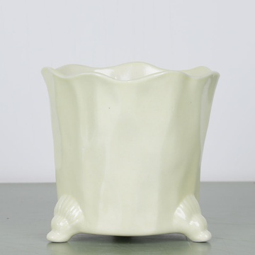 Cache-pot lemon
