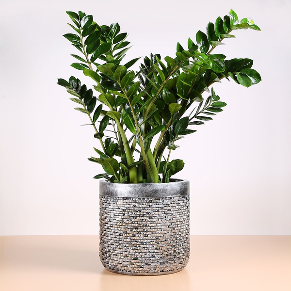Planter Nieuwkoop Luxe Lite Universe Leyer Bronze, L