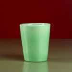 Orchid pot mint