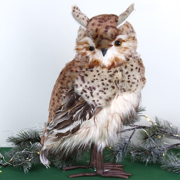 Spotted owl with ears