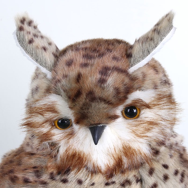 Spotted owl with ears