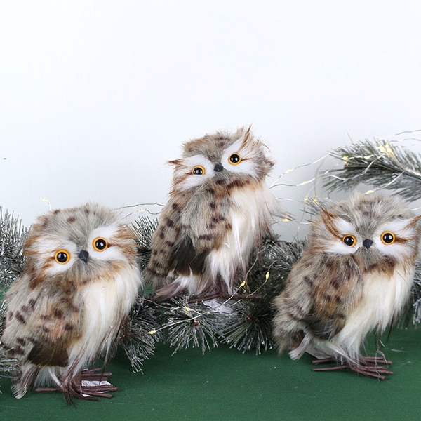 Little Spotted Owl