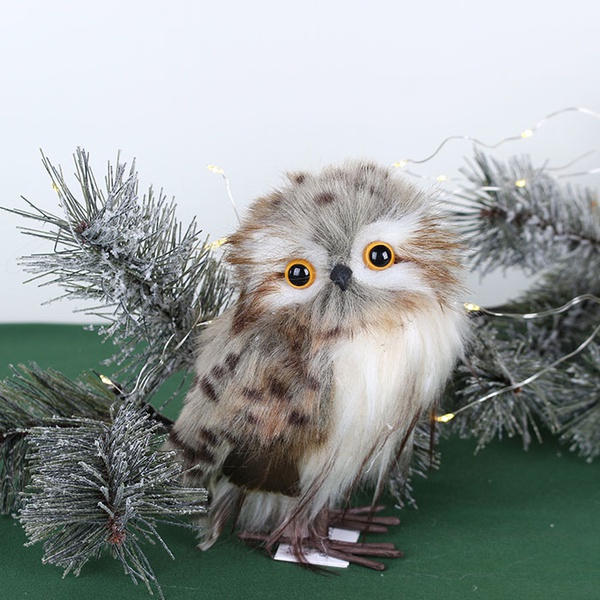 Little Spotted Owl