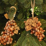 Bunch of hazelnuts