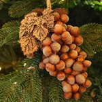 Bunch of hazelnuts