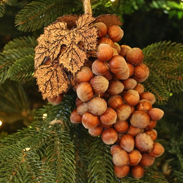 Bunch of hazelnuts