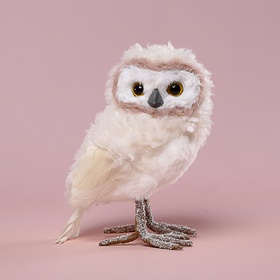 Little Snowy Owl