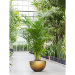 Кашпо Nieuwkoop Baq Metallic Bowl медовое матовое, M