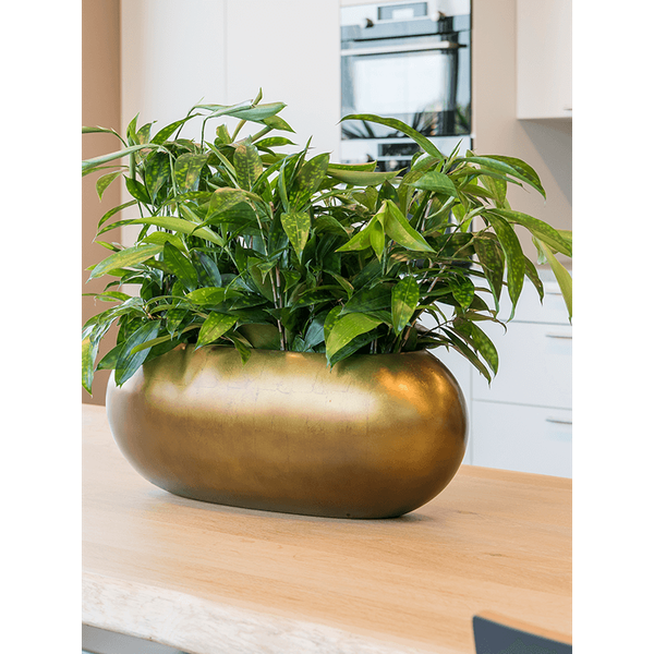 Planter Nieuwkoop Baq Metallic Boat matt honey, L