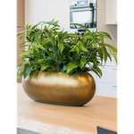 Planter Nieuwkoop Baq Metallic Boat matt honey, L