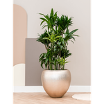 Planter Nieuwkoop Baq Metallic Couple matt light champagne, XL