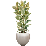 Planter Nieuwkoop Baq Metallic Couple matt light champagne, XL