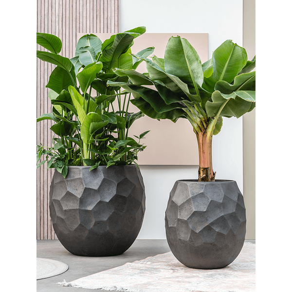 Planter Nathan James Balloon Pueter Champagne anthracite, L