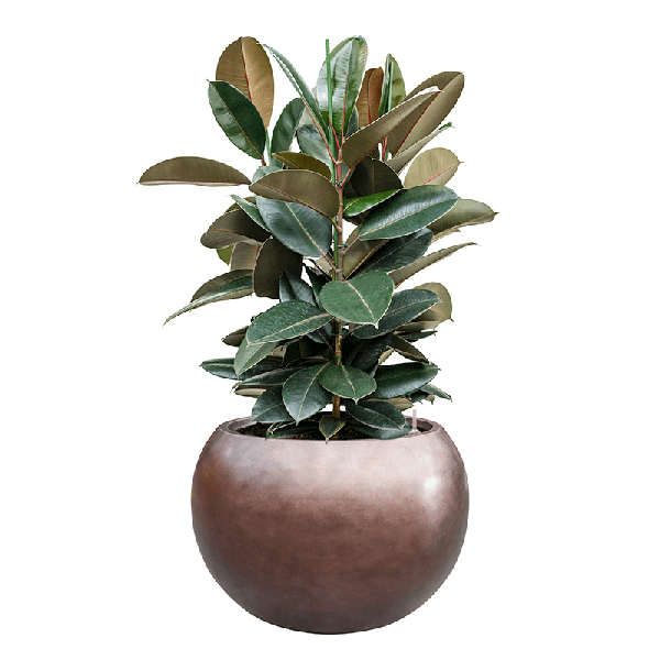 Кашпо Nieuwkoop Baq Metallic Globe кофе матовое, XL