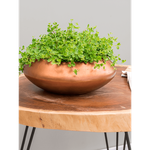 Кашпо Nieuwkoop Baq Metallic Bowl Ufo мідне матове, L
