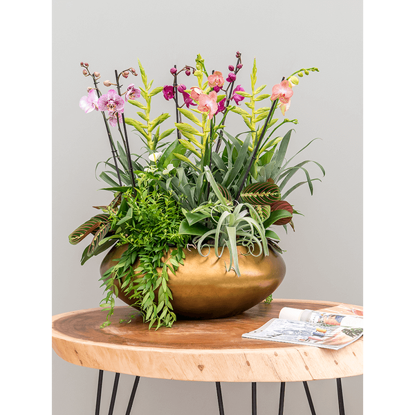 Кашпо Nieuwkoop Baq Metallic Bowl Ufo медове матове, M