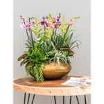 Кашпо Nieuwkoop Baq Metallic Bowl Ufo медове матове, M