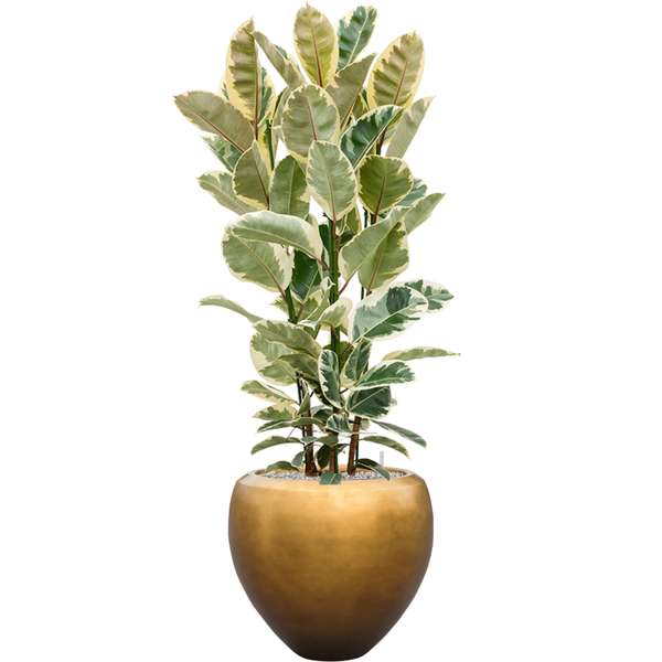 Planter Nieuwkoop Baq Metallic Couple matt honey, L
