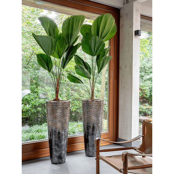 Planter Nieuwkoop Luxe Lite Universe Comet Partner Bronze, L