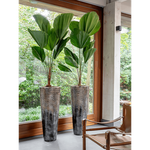 Planter Nieuwkoop Luxe Lite Universe Comet Partner Bronze, L
