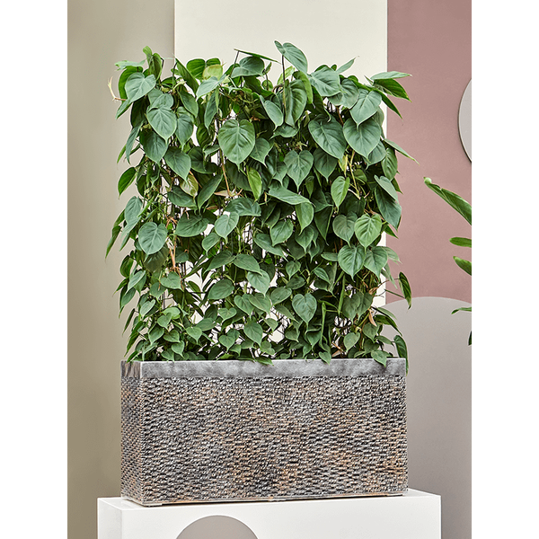 Кашпо Nieuwkoop Luxe Lite Universe Layer Rectangle bronze, Размер L