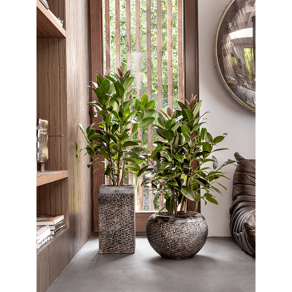 Кашпо Nieuwkoop Baq Luxe Lite Universe Layer Square Bronze, Розмір L