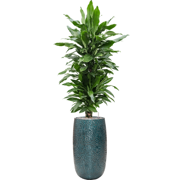 Planter Nieuwkoop Marly Vase Ocean Blue, L