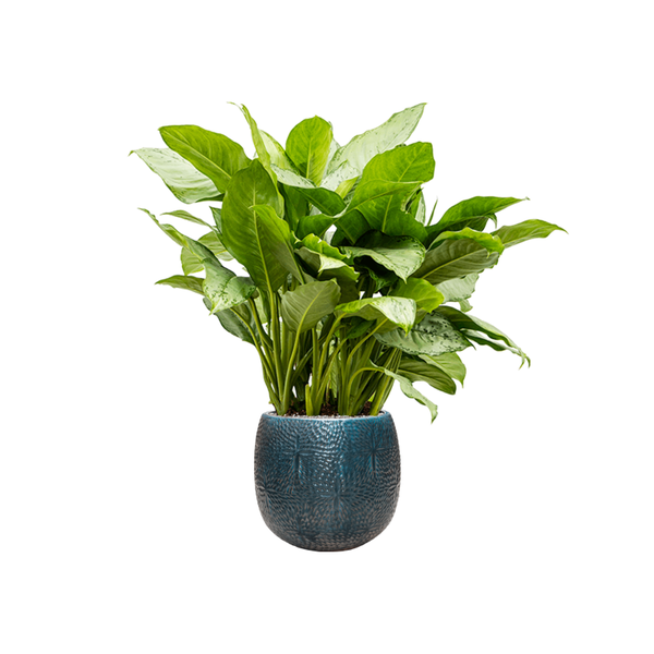 Кашпо Nieuwkoop Marly Pot Ocean Blue, Размер XL