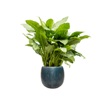 Кашпо Nieuwkoop Marly Pot Ocean Blue, Размер XL