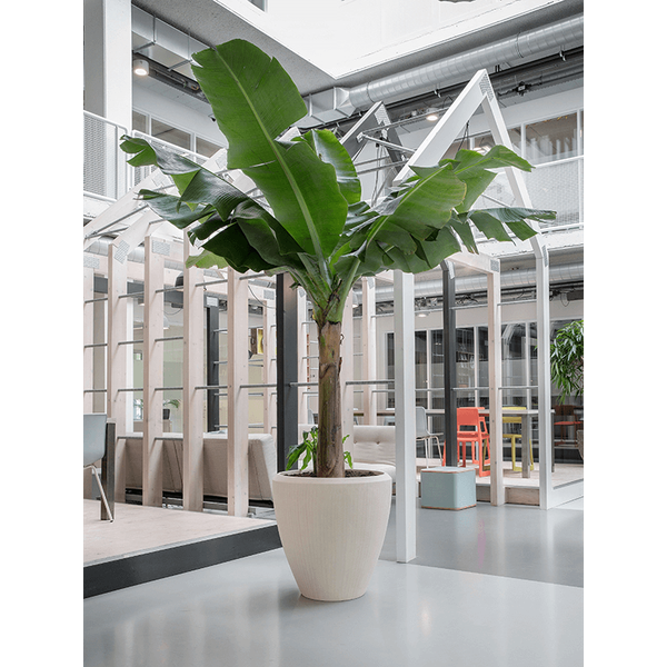 Planter Baq Polystone Plain Couple Natural, XXL